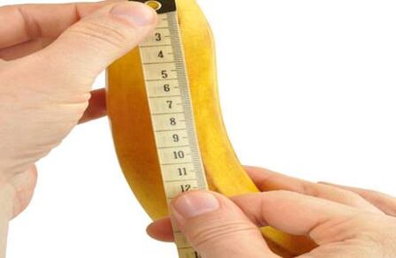 Normal penis size